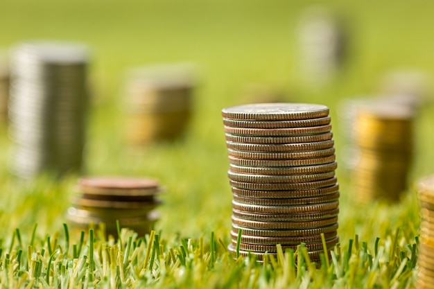 columns of coins on grass