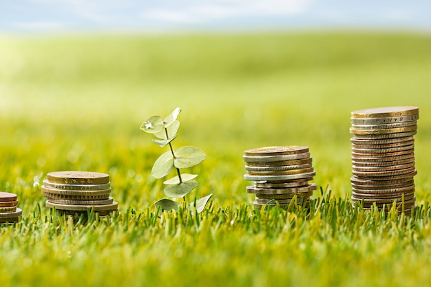 The columns of coins on grass