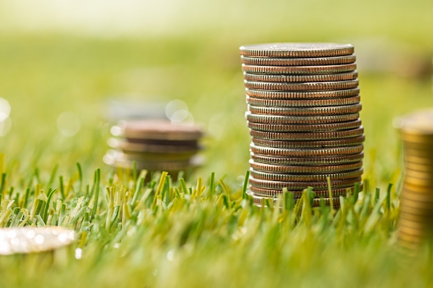 The columns of coins on grass