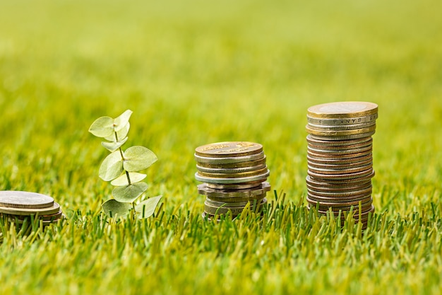 Free photo the columns of coins on grass