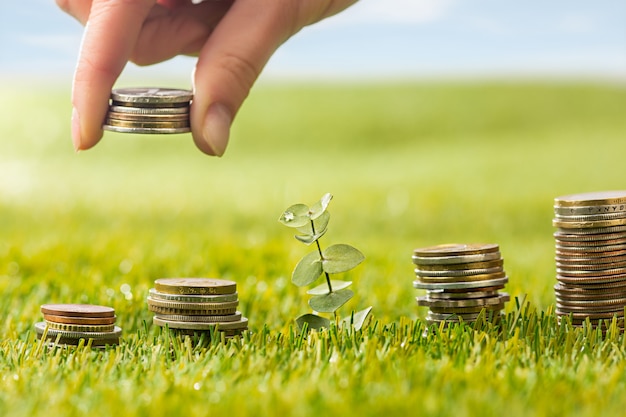 The columns of coins on grass