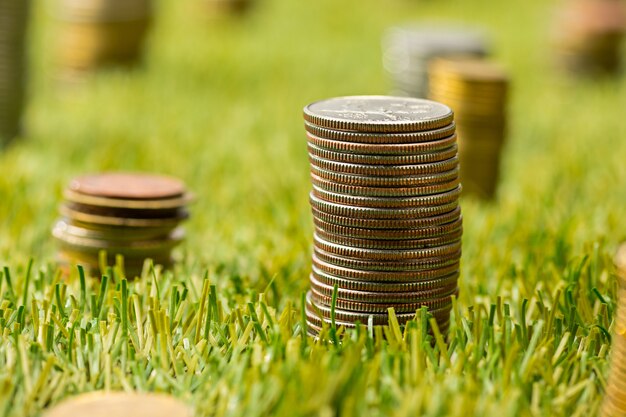 The columns of coins on grass