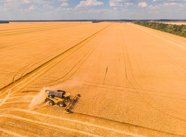 小麦畑のコンバイン日没時に小麦を収穫する飛行ドローンからの完璧な夏の景色