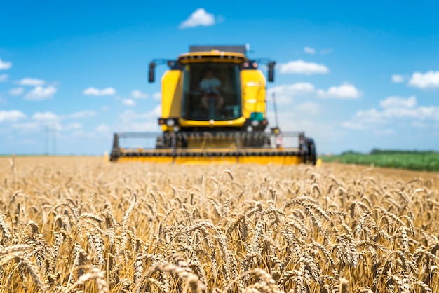 Free photo combine harvester working in the field