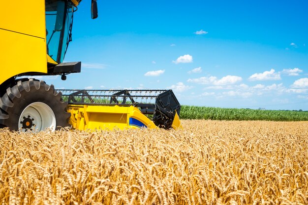 Combine harvester working in the field