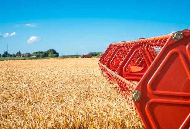 Free photo combine harvesting wheat field