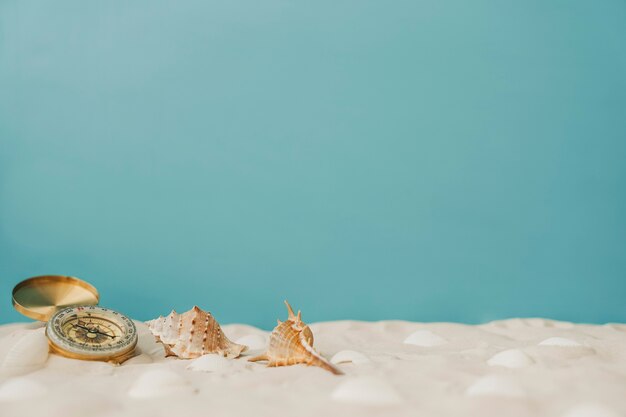 Compass and mollusks on blue background