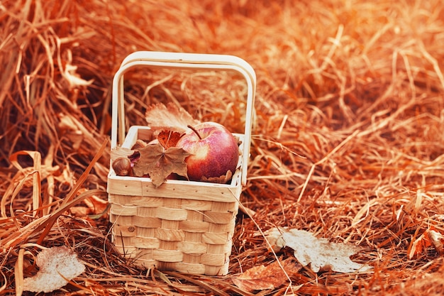 Composed apples and foliage