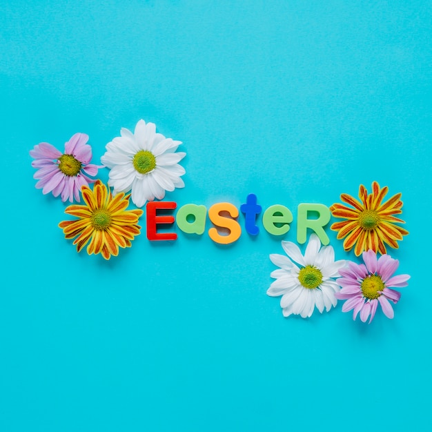 Composed daisies and word Easter