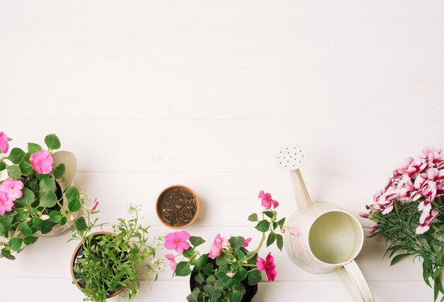 Composed flowerpots with watering pot