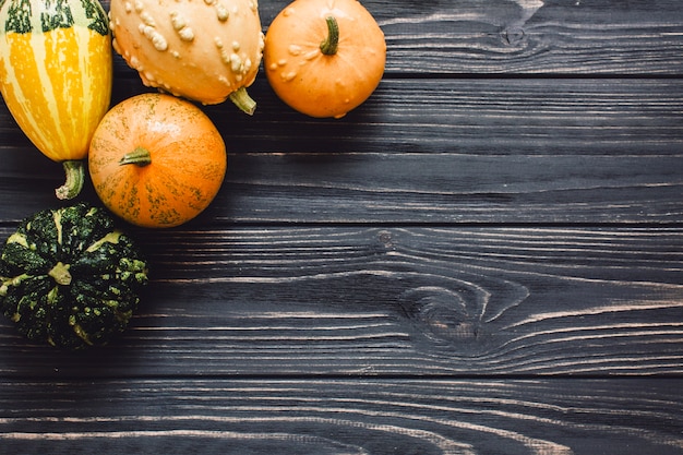 Composed ripe pumpkins on wood