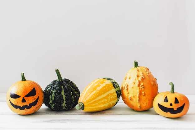 Composed various pumpkins on white