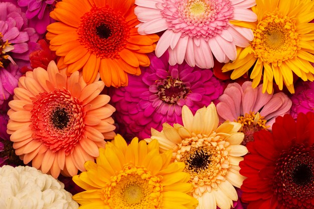 Composition of beautiful flowers wallpaper