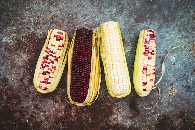 Free photo composition of colored corn on cob