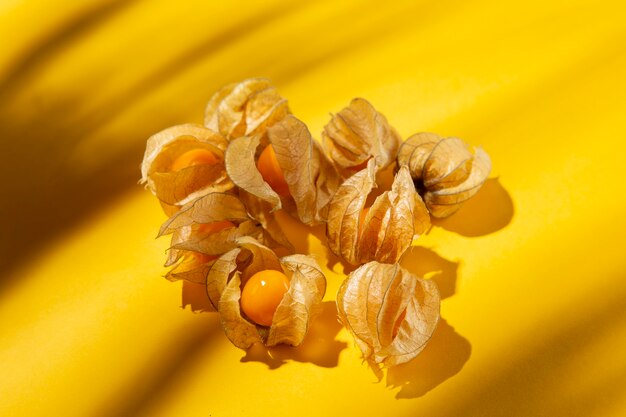 Composition of delicious exotic physalis