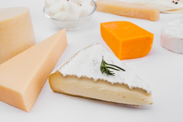 Composition of different types of cheese