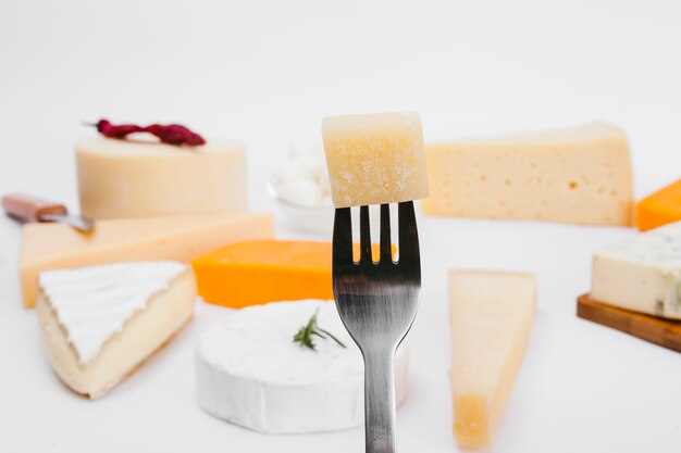 Composition of different types of cheese