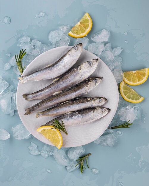 Composition of frozen sea food on the table