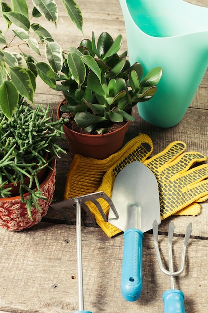 Composition of garden tools