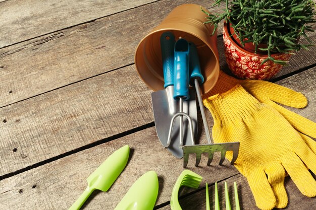 Composition of garden tools