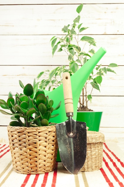 Free photo composition of garden tools