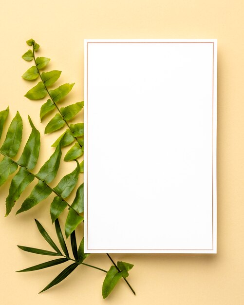 Composition of green leaves with empty frame