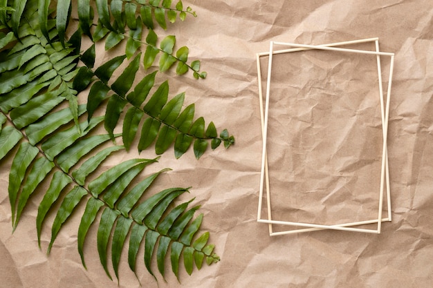 Composition of green leaves with empty frame