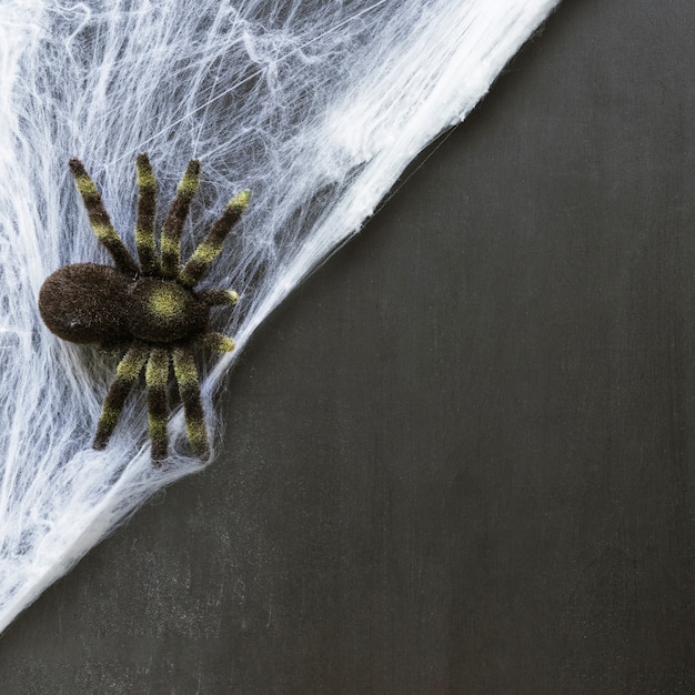 Foto gratuita composizione per halloween con ragno