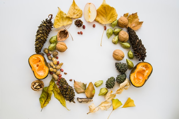 Composition of leaflets, pumpkin and strobiles