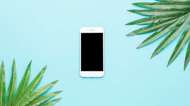 Composition of mobile phone and green leaves