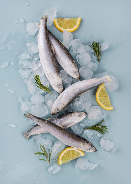 무료 사진 테이블에 냉동 바다 식품의 구성