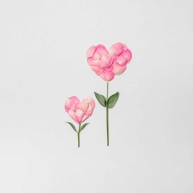 Composition of pink blooms in form of hearts