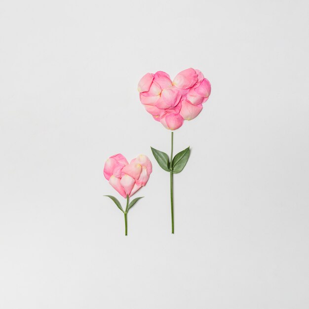 Composition of pink blooms in form of hearts