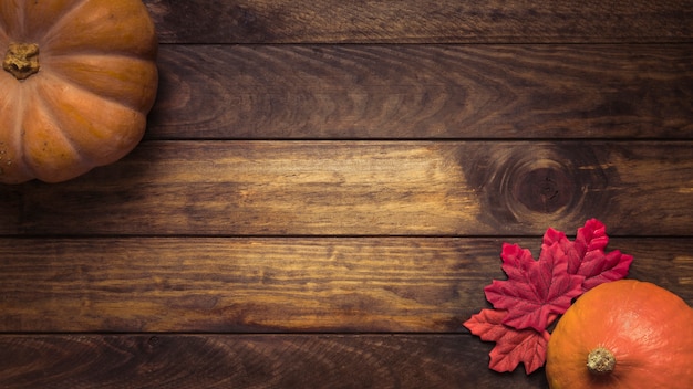 Composition of pumpkins and colourful leaves