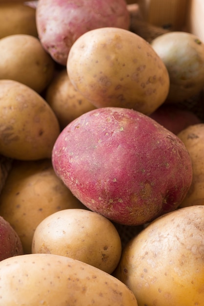 Composition of raw potatoes close-up