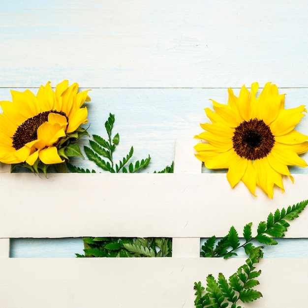 Composition of sunflowers and decorative fence on light blue surface