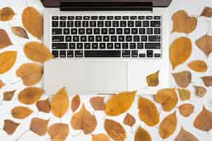 Free photo composition with autumn leaves and laptop