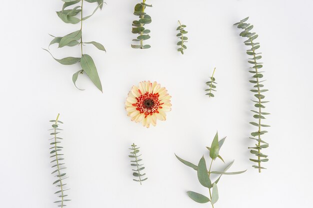 Composition with beautiful flower in the middle
