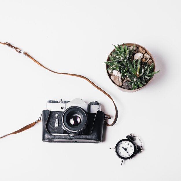 Composition with camera and plant