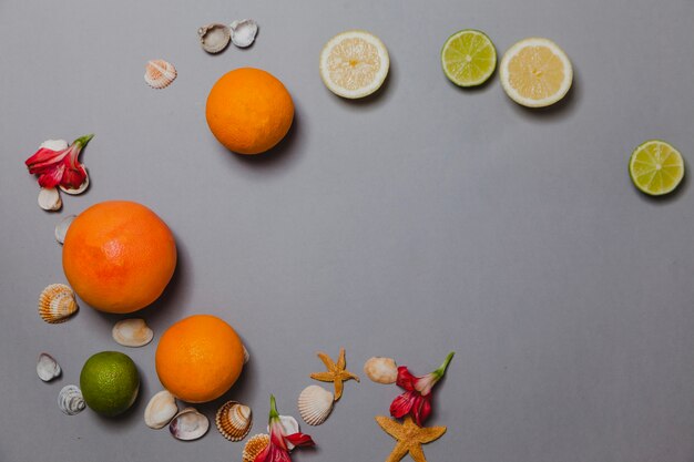 Composition with citrus fruits, shells and flowers