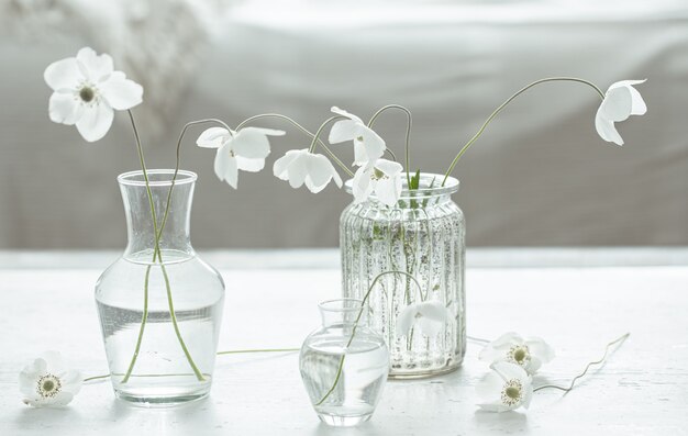 ガラスの花瓶の繊細な春の花との構成