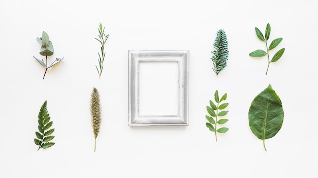 Composition with different leaves and frame