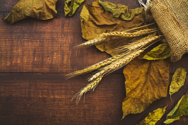 Free photo composition with dried leaves and burlap sack