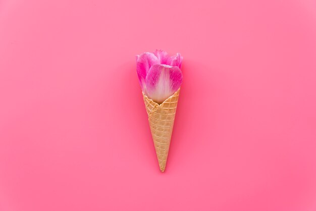 Composition with flower in waffle cone on pink background