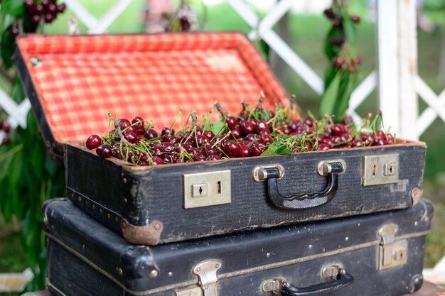 Composition with old hand luggage full of cherries