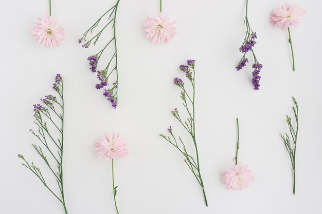 Composition with pink and purple flowers