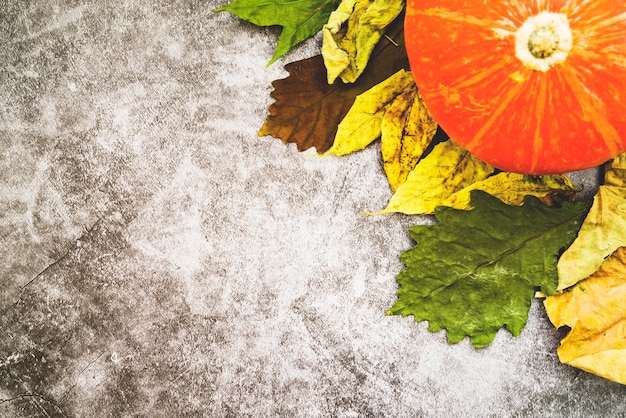 Composition with pumpkin and withered leaves