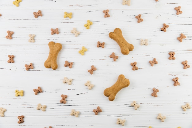 Composition with treats for dogs on white surface