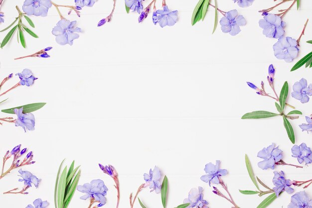 composition of wonderful blue flowers and plants 