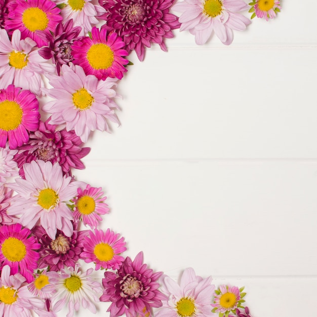 Composition of wonderful pink blooms 